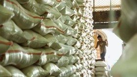 Pemerintah Jamin Stok Beras Aman hingga Akhir 2022