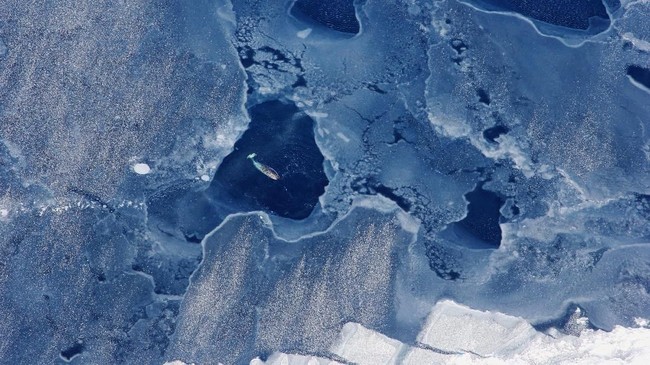 Islandia memperingati lenyapnya Okjokull, gletser pertama yang hilang akibat perubahan iklim di negara tersebut.