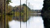 FOTO: Sisa Sapuan Badai Florence di Amerika Serikat Sepekan setelah Badai Florence menyapu Amerika Serikat, sebagian wilayah di pesisir negara itu masih tergenang air.