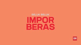 Seluk Beluk Pengambilan Kebijakan Impor Beras