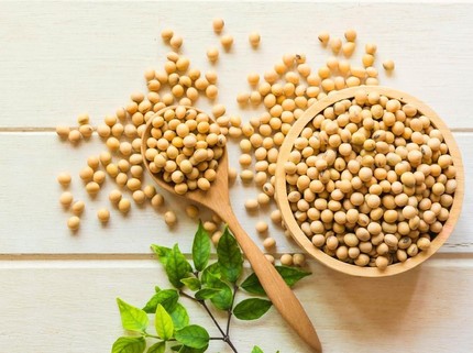4 Makanan untuk Memperkuat Tulang Anak Selain Susu