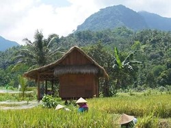 3 Tips Membangun Desa Ekowisata dari Pakar UGM, Apa Saja?