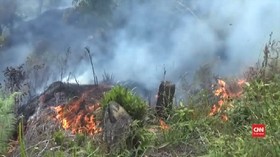 VIDEO: Kebakaran Lahan di Mamasa