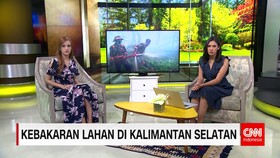 Kebakaran Lahan di Kalimantan Selatan