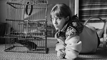 FAKTA MENARIK JANE BIRKIN
