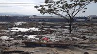 Dampak Tsunami di Palu, Ini Tandanya Korban Mengalami Fobia Air