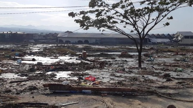BNPB menyebut tinggi Tsunami yang menerjang di sejumlah titik di Palu bervariasi. Ketinggian air yang menerjang daratan ada yang mencapai 6 meter.
