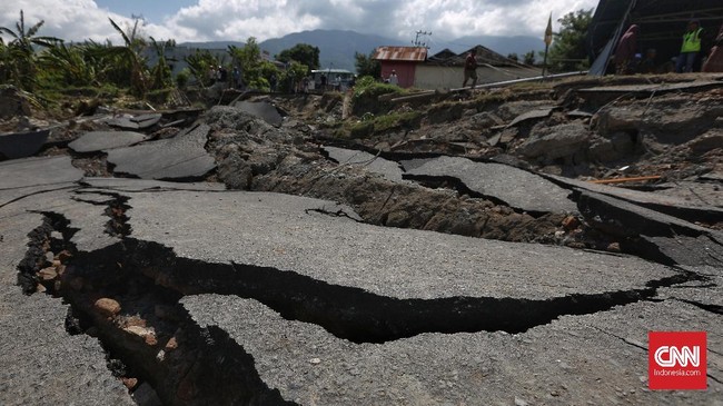 Kementerian PUPR meminta kontraktor memobilisasi alat berat untuk membantu proses evakuasi korban gempa dan tsunami di Palu dan Donggala.