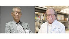 Pengobatan Terapi Kanker Sabet Penghargaan Nobel Kesehatan