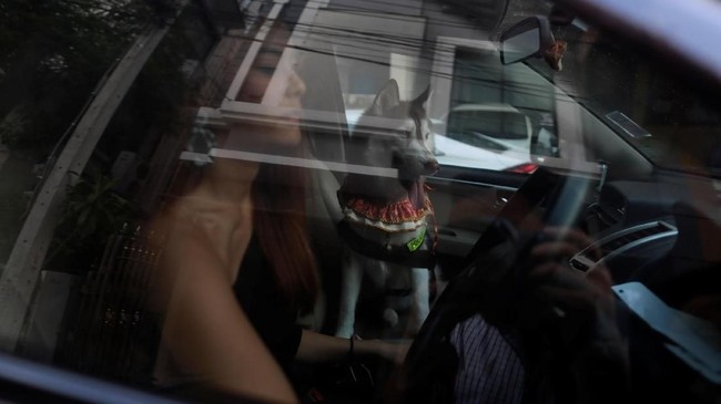 FOTO: Anjing Masuk Kantor