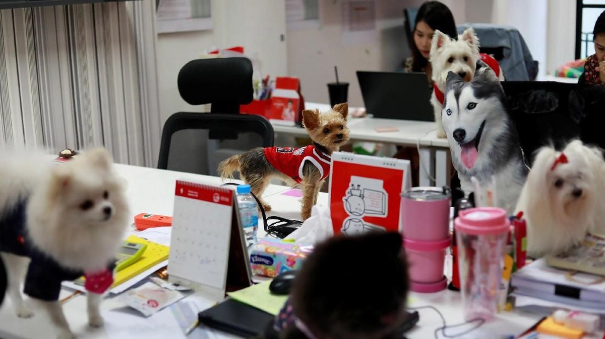 FOTO: Anjing Masuk Kantor