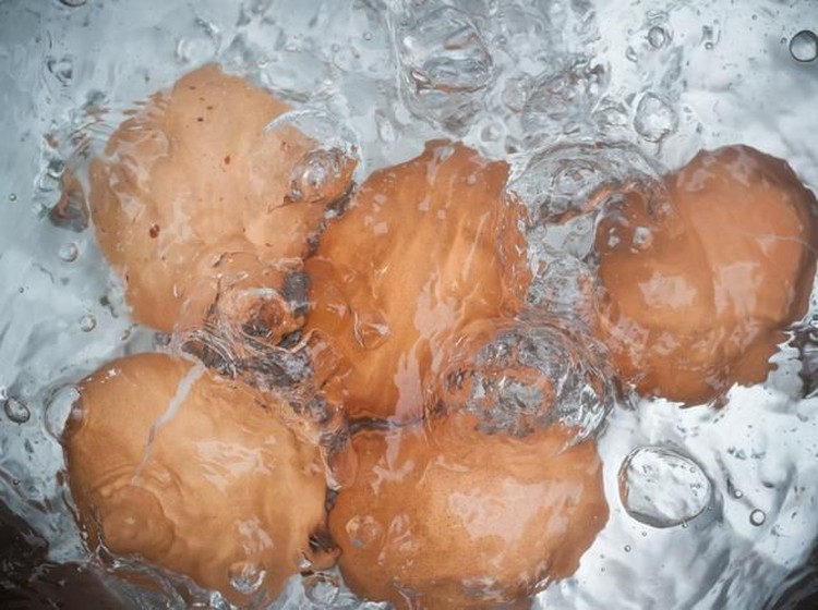 Masukkan Telur Berjejer di Panci Merebus telur nggak bisa disepelekan bila kita mau dapat hasil yang sempurna. Nah, Bun, berikut 4 cara merebus telur agar matang sempurna.