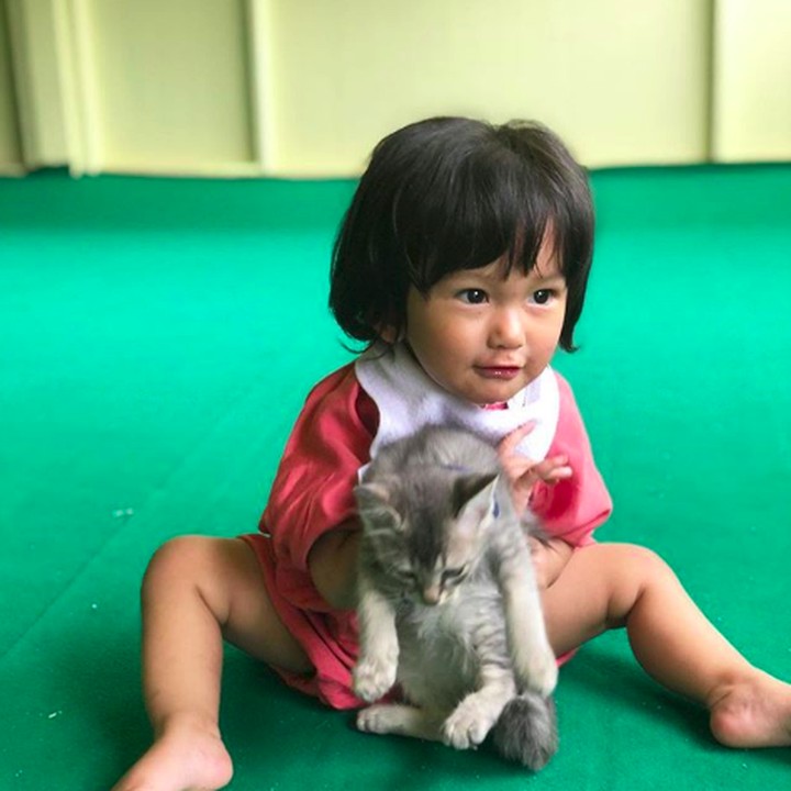 <p>Salma pengen bawa kucing ke rumah. Boleh nggak Bunda Atiqah? (Foto: Instagram @atiqahhasiholan)</p>