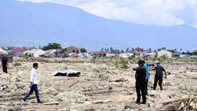 4 APM Besar Salurkan Miliaran untuk Korban Tsunami Palu