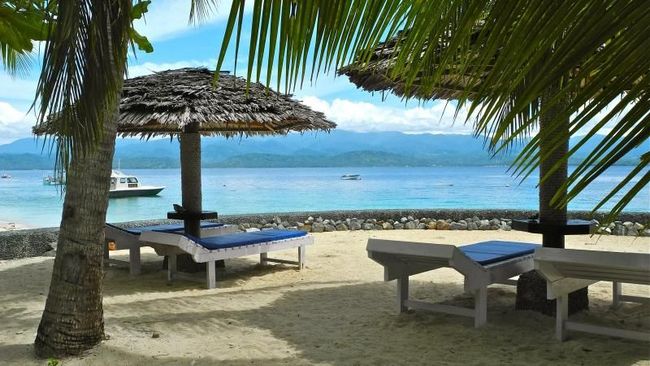 Puluhan WNA diketahui berada di Prince John Dive Resort, tempat menginap populer di Donggala selain Hotel Roa Roa dan Hotel Best Western di Palu.