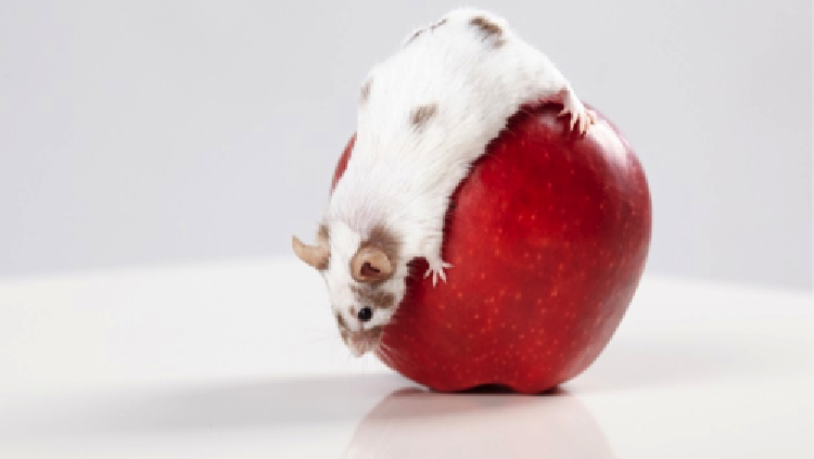 Bunda&comma; apa pernah merasa khawatir akan kebersihan makanan yang dikonsumsi buah hati&quest;