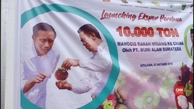 VIDEO : Indonesia Ekspor Manggis ke China