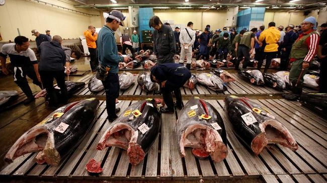 Sebelum pindah ke lokasi baru, Pasar Tsukiji menggelar pelelangan tuna terakhirnya. Ketakutan dan harapan mereka akan lokasi baru pun terlontarkan.