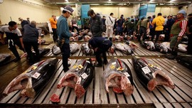 Kisah Pilu Pelelangan Tuna Terakhir di Pasar Tsukiji