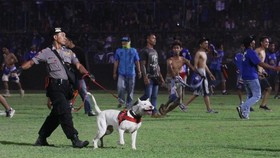 Arema FC Tak Banding Sanksi dari Komdis PSSI