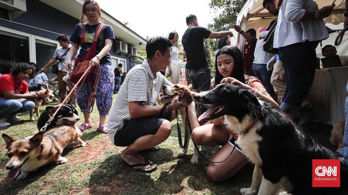 FOTO: Microchip, Kepemilikan Hewan yang Bertanggung Jawab