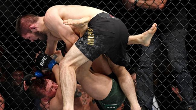 Khabib Nurmagomedov dan Arti Beruang dalam Budaya Rusia