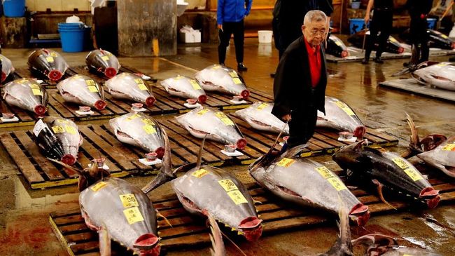 Pasar Ikan Toyosu menjual tuna dengan rekor Rp43,7 miliar. Pelelangan dilakukan untuk mengembalikan kepopuleran Pasar Tsukiji.