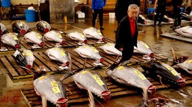 Rekor dalam Lelang Pertama Pasar Ikan Tsukiji Baru Tahun 2019