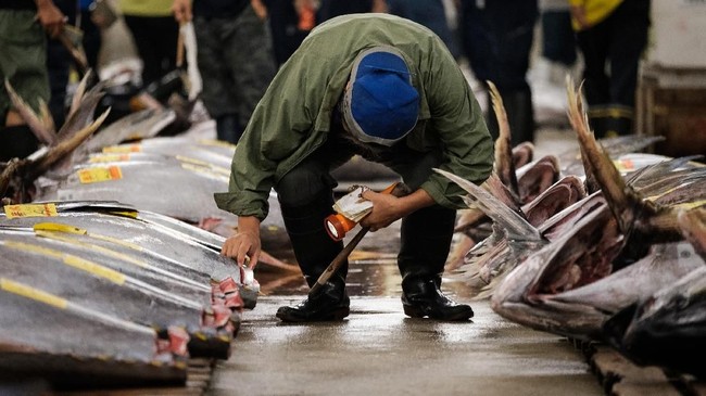FOTO: Lelang Tuna Terakhir di Pasar Tsukiji