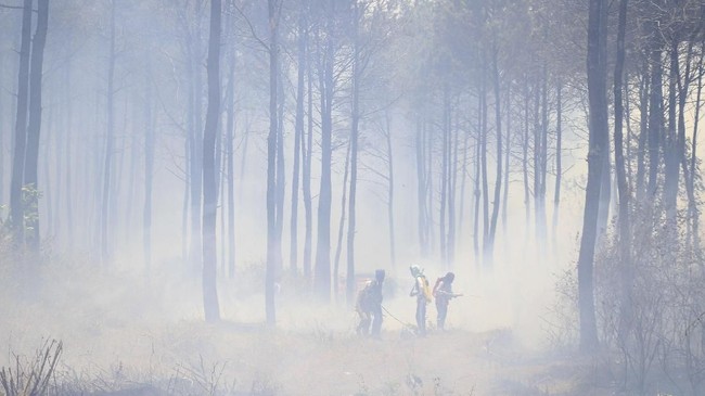 Sebanyak 18 pemadam kebakaran dan seorang polisi hutan tewas dalam kebakaran hutan di Xichang, China, pada Selasa (31/3).