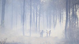 Eksekusi Denda Rp16 Triliun PT Merbau di Tangan PN Pekanbaru