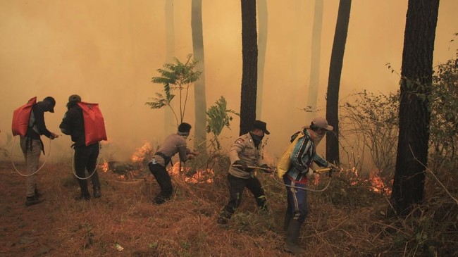 Faktor alam disebut Walhi jarang sebabkan karhutla, namun lebih sering disebabkan oleh faktor manusia.