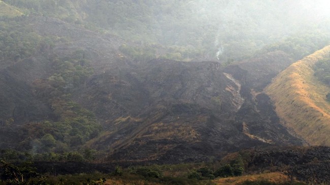 Untuk memastikan tak ada api lagi, pada Senin (15/10) akan kembali dilakukan water bombing dari udara, dan petugas bersama relawan melakukan penyisiran hutan.