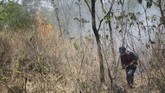 FOTO: Kebakaran di Gunung Ciremai Belum Padam Kebakaran di kawasan Taman Nasional Gunung Ciremai, Kuningan, Jawa Barat, sudah memasuki hari ke-12, namun belum bisa dipadamkan.