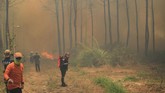 FOTO: Kebakaran di Gunung Ciremai Belum Padam Kebakaran di kawasan Taman Nasional Gunung Ciremai, Kuningan, Jawa Barat, sudah memasuki hari ke-12, namun belum bisa dipadamkan.
