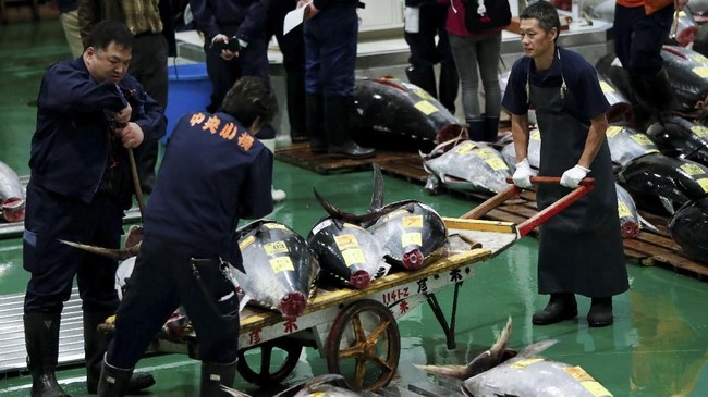 FOTO: Nuansa Baru Pasar Ikan Tsukiji 'Toyosu'