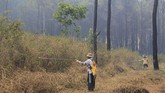 FOTO: Kebakaran di Gunung Ciremai Belum Padam Kebakaran di kawasan Taman Nasional Gunung Ciremai, Kuningan, Jawa Barat, sudah memasuki hari ke-12, namun belum bisa dipadamkan.