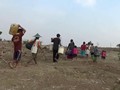 VIDEO: Kekeringan di Ngawi, Satu Sumur Dipakai 250 Keluarga