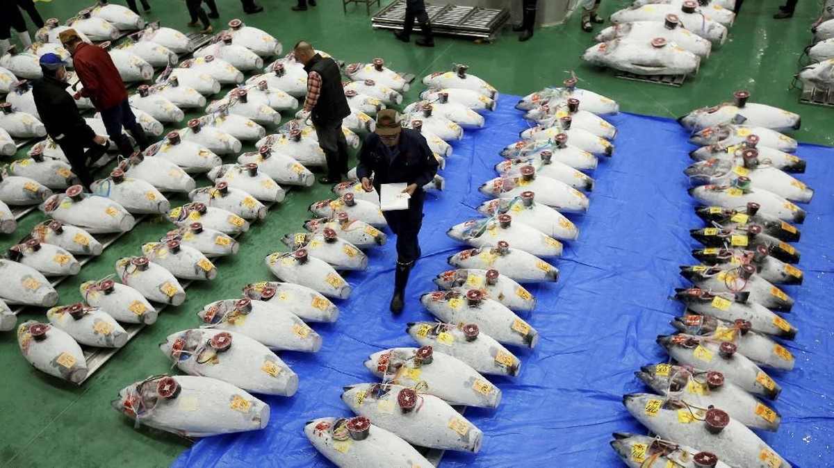 FOTO: Nuansa Baru Pasar Ikan Tsukiji 'Toyosu'