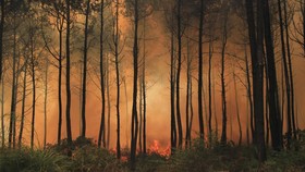 Belum Semua Pendaki Dievakuasi dari Gunung Ciremai