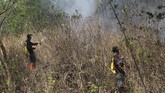 FOTO: Kebakaran di Gunung Ciremai Belum Padam Kebakaran di kawasan Taman Nasional Gunung Ciremai, Kuningan, Jawa Barat, sudah memasuki hari ke-12, namun belum bisa dipadamkan.