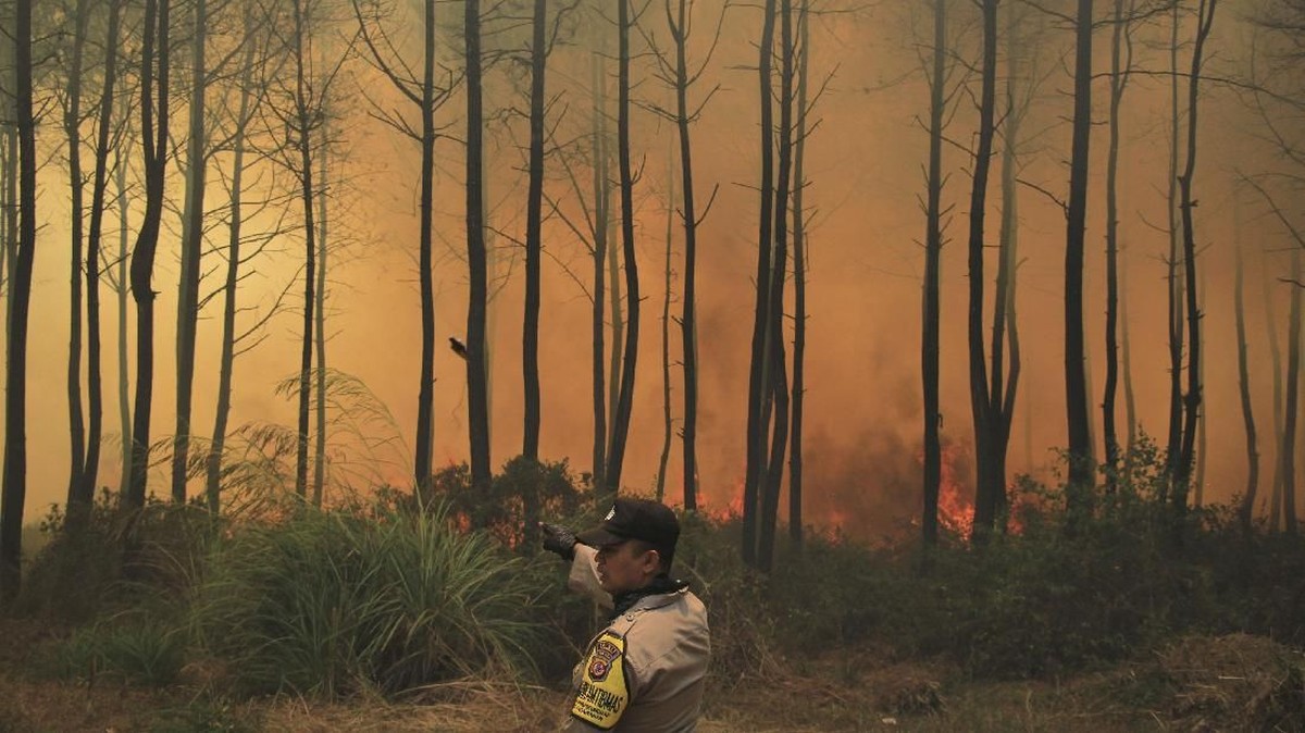 FOTO: Kebakaran di Gunung Ciremai Belum Padam