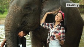 VIDEO: Jejak Petualang Weekend di Lovina