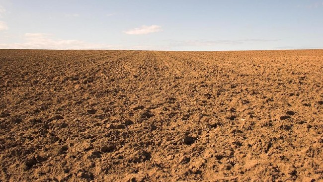 Kemarau yang kering diperkirakan akan terjadi di Indonesia tahun ini akibat kedatangan El Nino yang sudah 3 tahun mangkir.