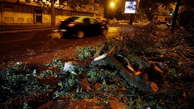 Sekitar seribuan pohon tumbang di kota Lisabon, dan aliran listrik terputus, serta muncul peringatan banjir akibat badai Leslie yang menghantam Portugal.