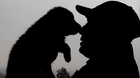 FOTO: Kala Kemampuan Anjing Diasah Sejak Dini