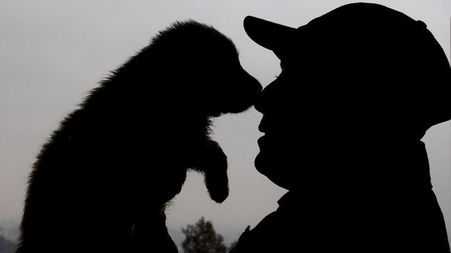 China Latih Anjing Polisi Terbaik Hasil Kloning