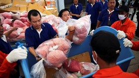 Thailand Sita 12,2 Juta Pil Narkoba