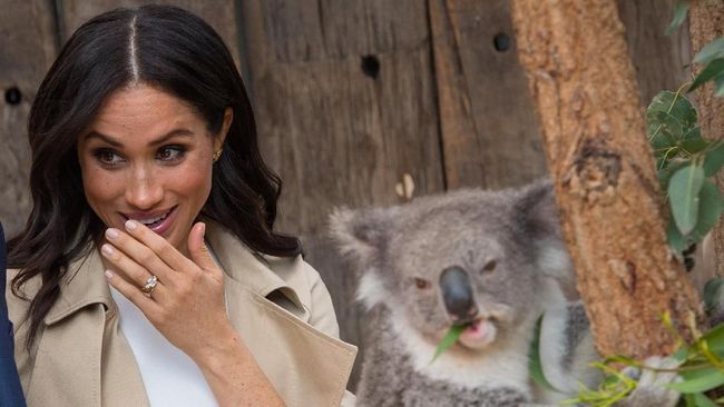 Meghan Markle kini menjadi bulan-bulanan pemberitaan miring di Inggris, mulai dari disebut tak sopan hingga jadi biang kerok drama keluarga Kerajaan Inggris.