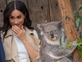 Hamil, Meghan Markle Tetap Tur Meski Ada Peringatan Zika